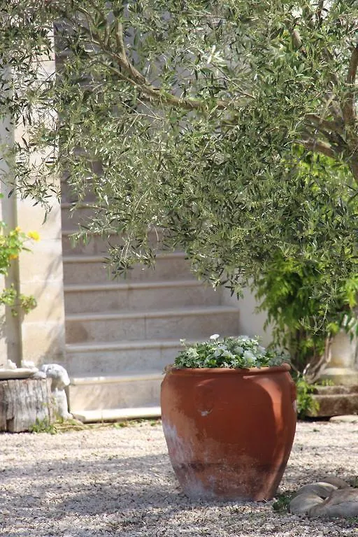 Sous Les Platanes B&B Châteaurenard Frankreich